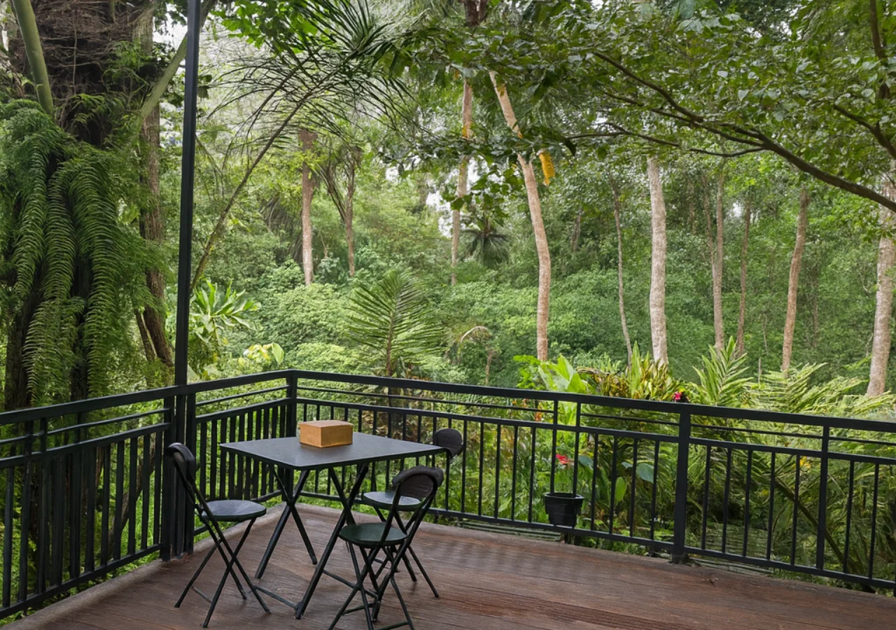 Jungle Hideaway Villas Outdoor Jungle View